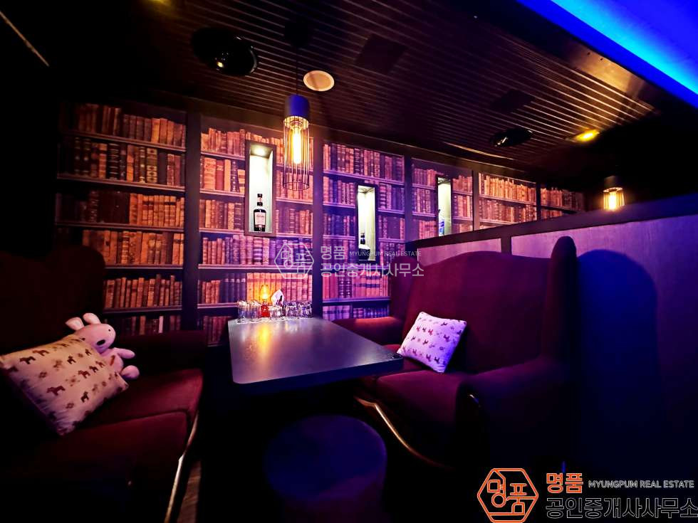 서울 강남구 역삼동 45P 상가 l 역삼역 l 복합상권 l 단독출입구有 l 단란주점 월세 매물번호 10316 사진 8