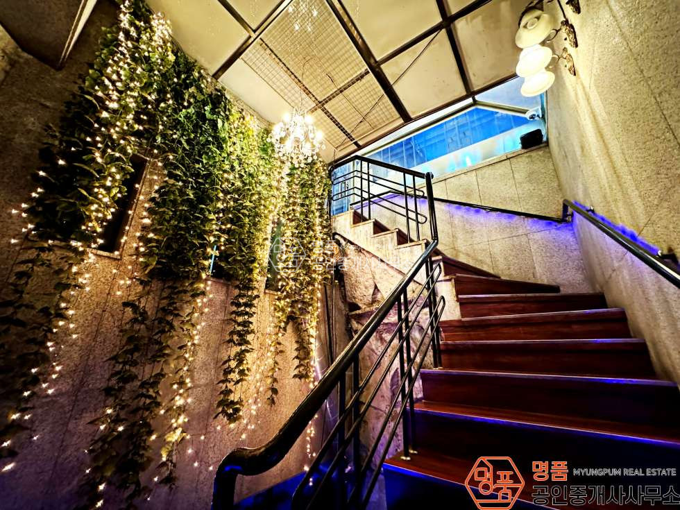 서울 강남구 역삼동 45P 상가 l 역삼역 l 복합상권 l 단독출입구有 l 단란주점 월세 매물번호 10316 사진 12