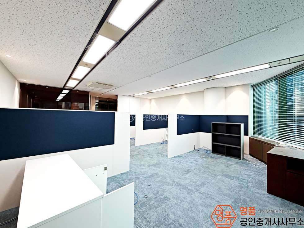 서울 강남구 역삼동 76P 병의원 I 강남역 I 초역세 I 지하역사연결된 I 대형빌딩 월세 매물번호 10004 사진 2