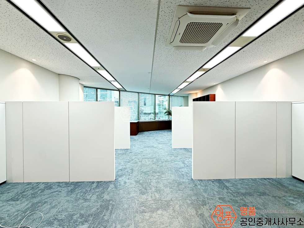 서울 강남구 역삼동 76P 병의원 I 강남역 I 초역세 I 지하역사연결된 I 대형빌딩 월세 매물번호 10004 사진 3