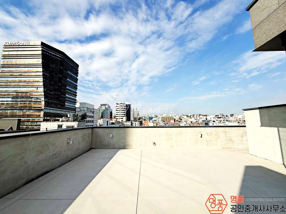 서울 강남구 논현동 49P상가사무실 I 신논현초역세 I 루프탑 I 3면유리창 월세 매물번호 10294 사진 7