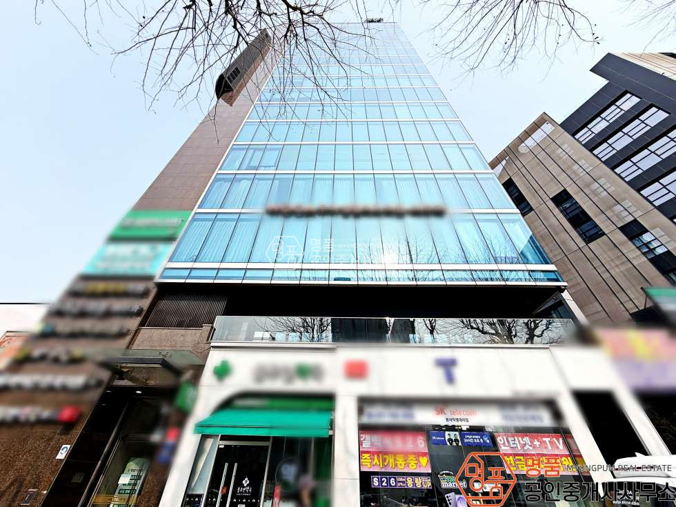 서울 강남구 논현동 62P 병의원 I 신논현역세 I 강남대로 I 코너자리 l 메디컬빌딩 월세 매물번호 10028 사진 1