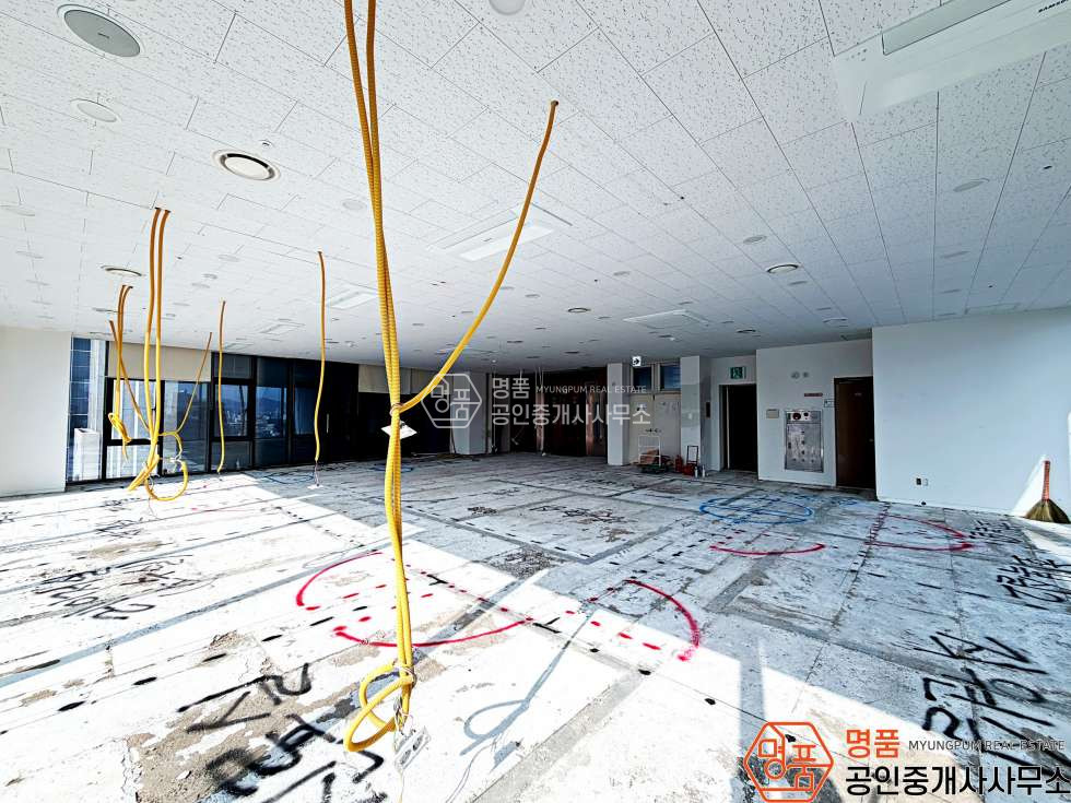 서울 강남구 신사동 50P 병의원 l 신사초역세 I 도산대로 I 대로변 I 메디컬빌딩 월세 매물번호 10051 사진 8