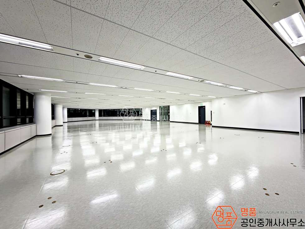 서울 서초구 서초동 141P 병의원 I 강남역 I 대로변 I 랜드마크 I 대형빌딩 월세 매물번호 10006 사진 2