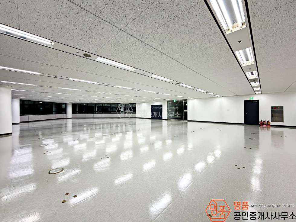 서울 서초구 서초동 141P 병의원 I 강남역 I 대로변 I 랜드마크 I 대형빌딩 월세 매물번호 10006 사진 5
