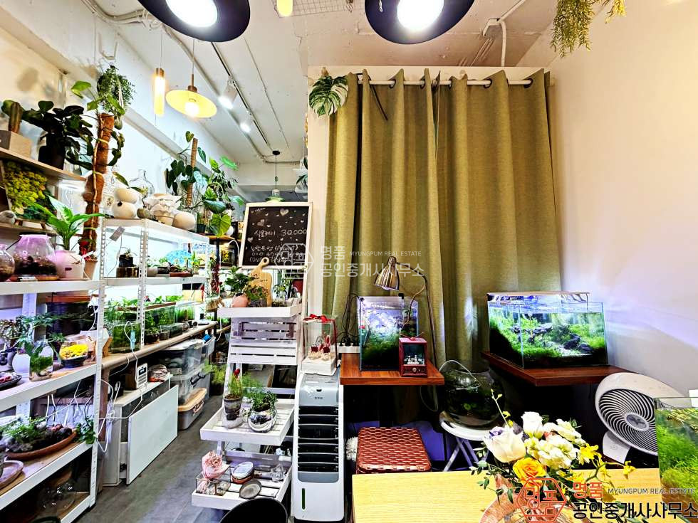 서울 강남구 논현동 9P 상가 l 논현초블럭 l 노출최상 l 코너건물 월세 매물번호 10153 사진 3