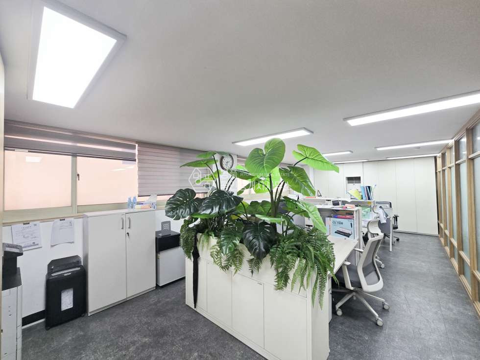 서울 강남구 논현동 학동역 5분 이내 초가성비 매물 월세 매물번호 10318 사진 2