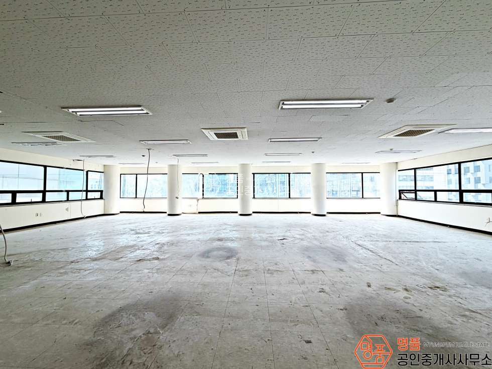 서울 강남구 도곡동 65P 병의원 I 양재초역세 I 대로변 I 가시성최상 I 코너건물 월세 매물번호 10370 사진 8